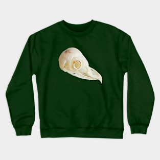 Side view of a Barn Owl skull Crewneck Sweatshirt